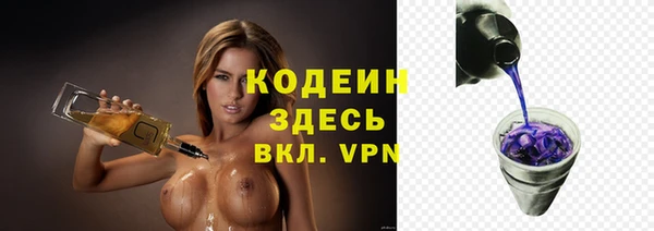 индика Медногорск