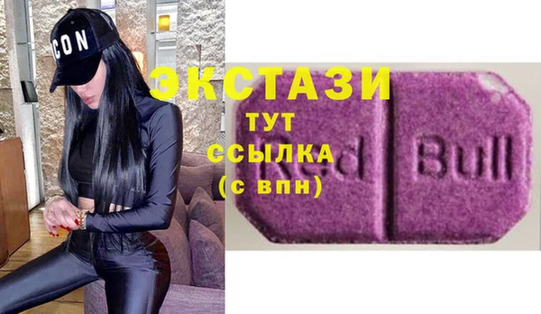 индика Медногорск