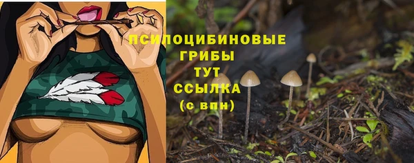 MDMA Михайловск