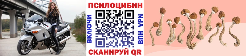 Псилоцибиновые грибы прущие грибы  наркошоп  Разумное 